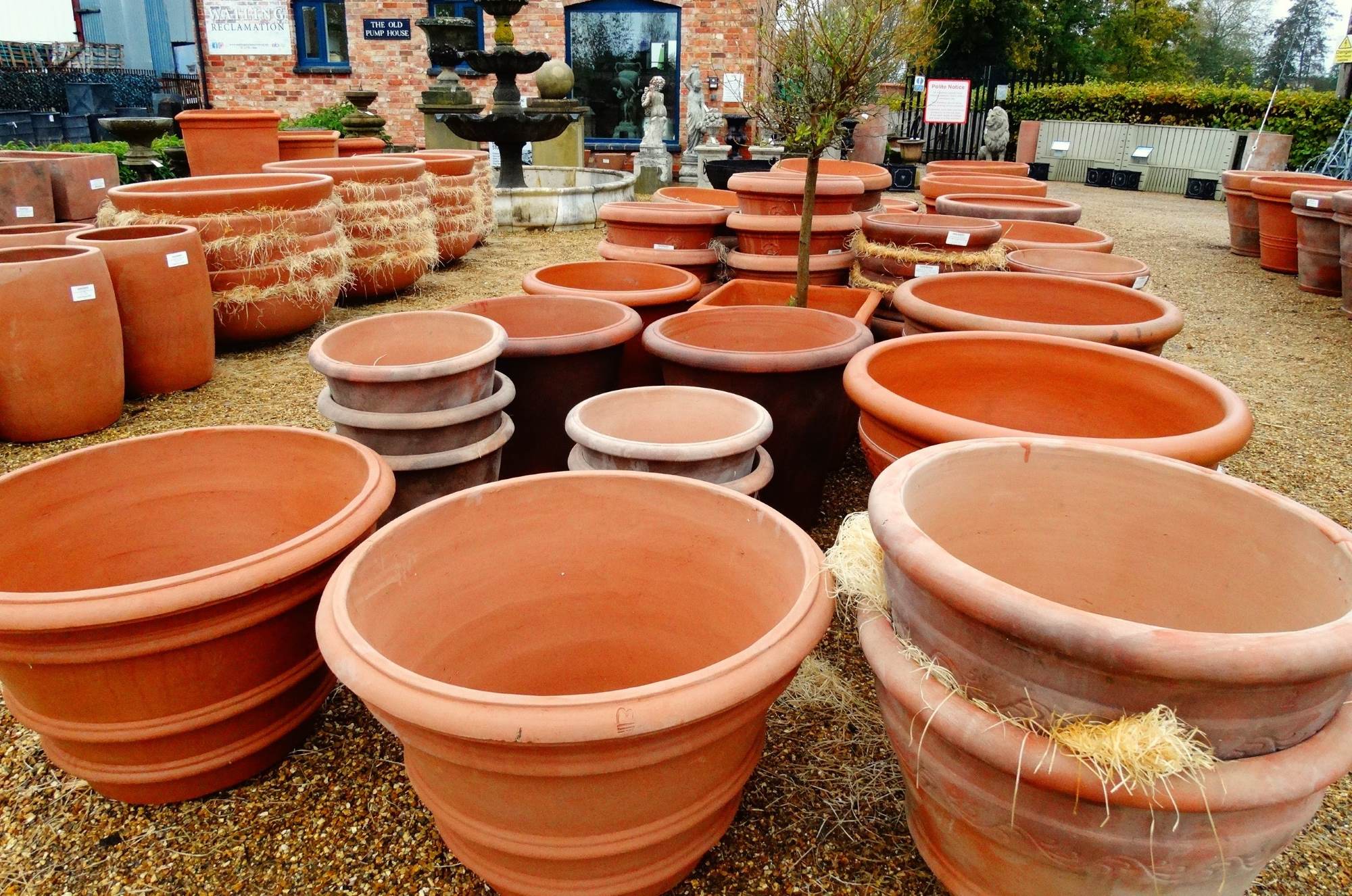 Terracotta Pots for Carousel Winter Planting