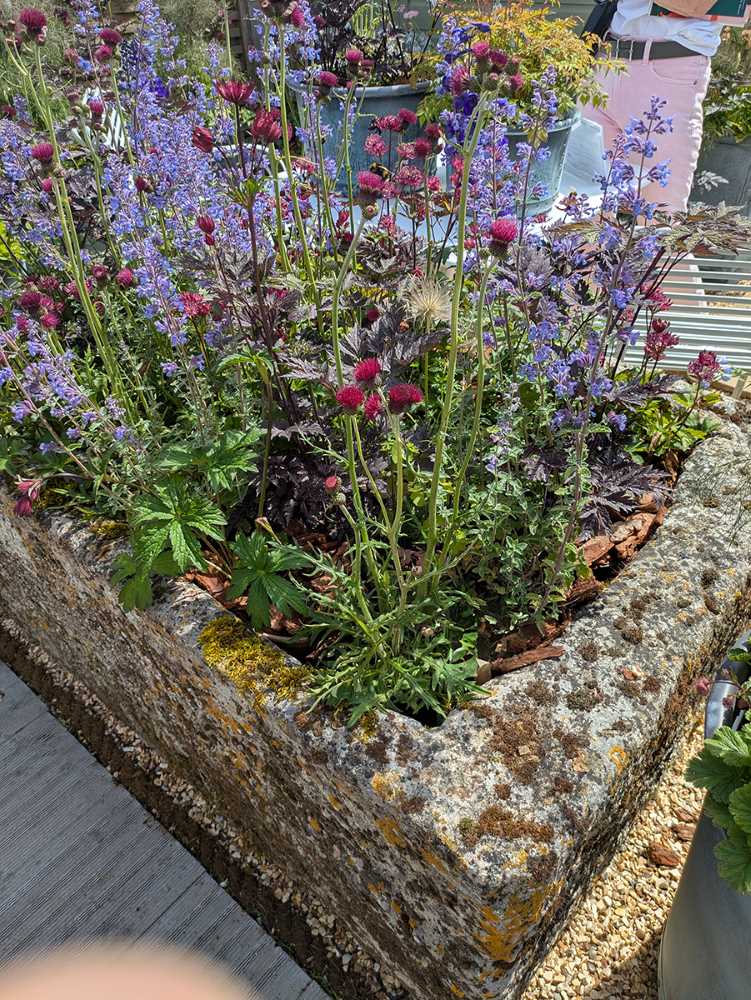 Reclaimed Materials Chelsea Stone Trough 1