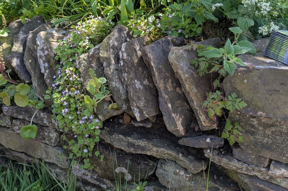 Chelsea Walling 1