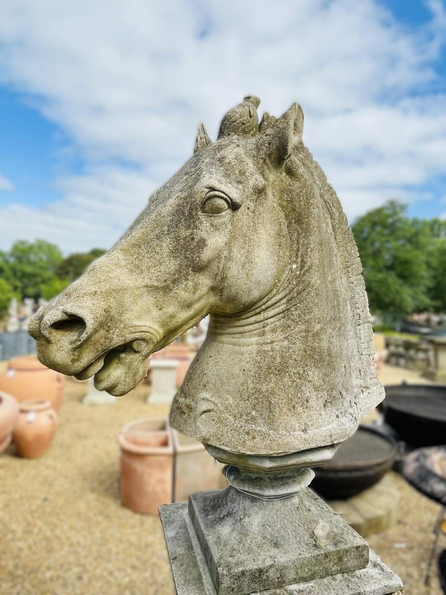 Reclaimed Haddonstone Equine Head 1 GFO-0349