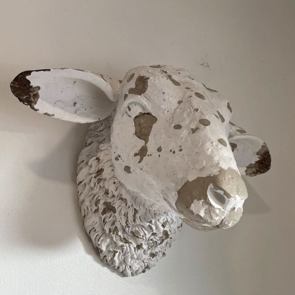 Decorative Sheep's Head