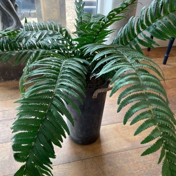 Potted Artificial Fern
