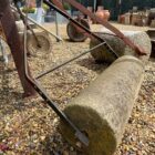 Gritstone Lawn Roller 3
