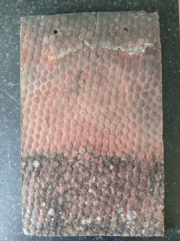 Reclaimed Acme Clay Honeycomb Roof Tile