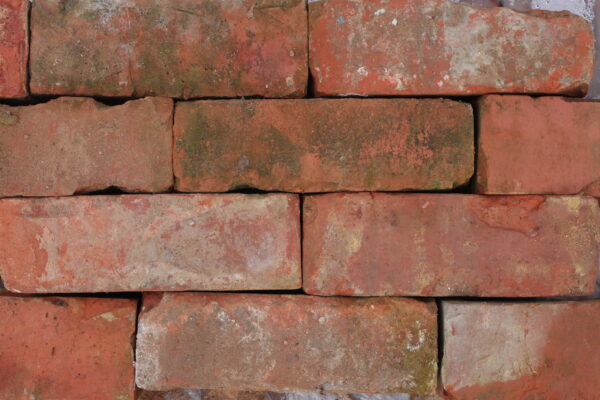Reclaimed Edwardian Blend Bricks 1 WAT-03900