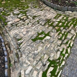 Limestone stable cobbles laid as a path
