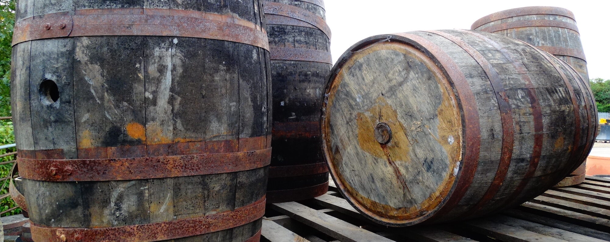 Reclaimed Oak Barrels