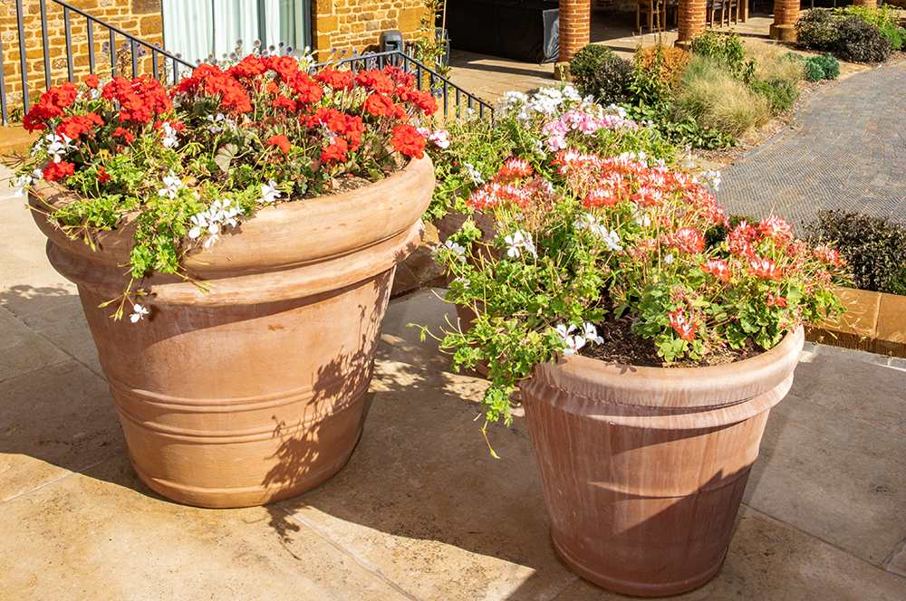 Handmade Italian double and plain rolled rim pots planted with pelargoniums and geraniums
