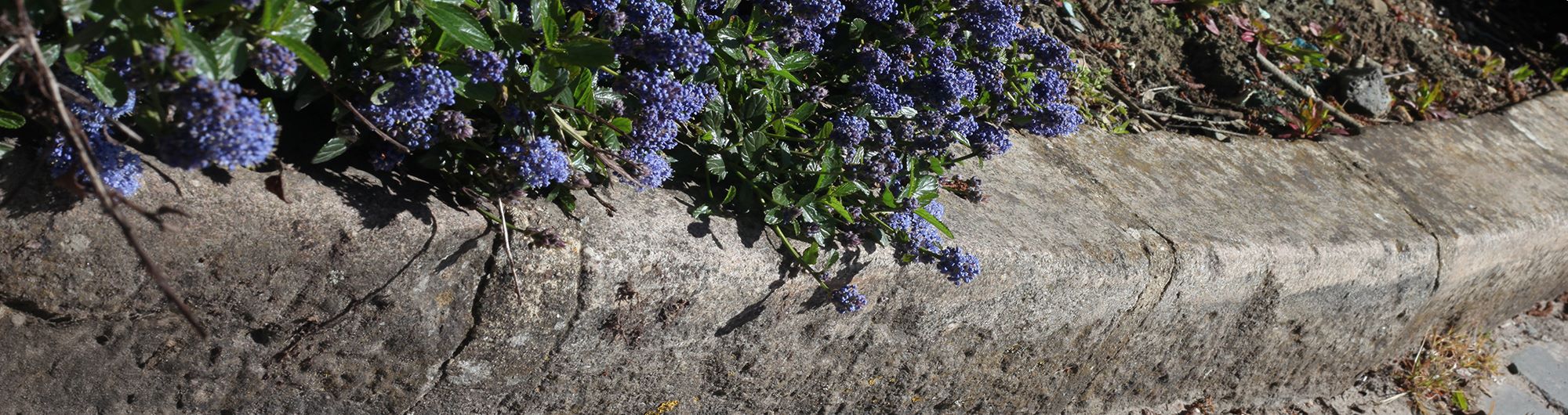 Kerbs_Edging Category Image