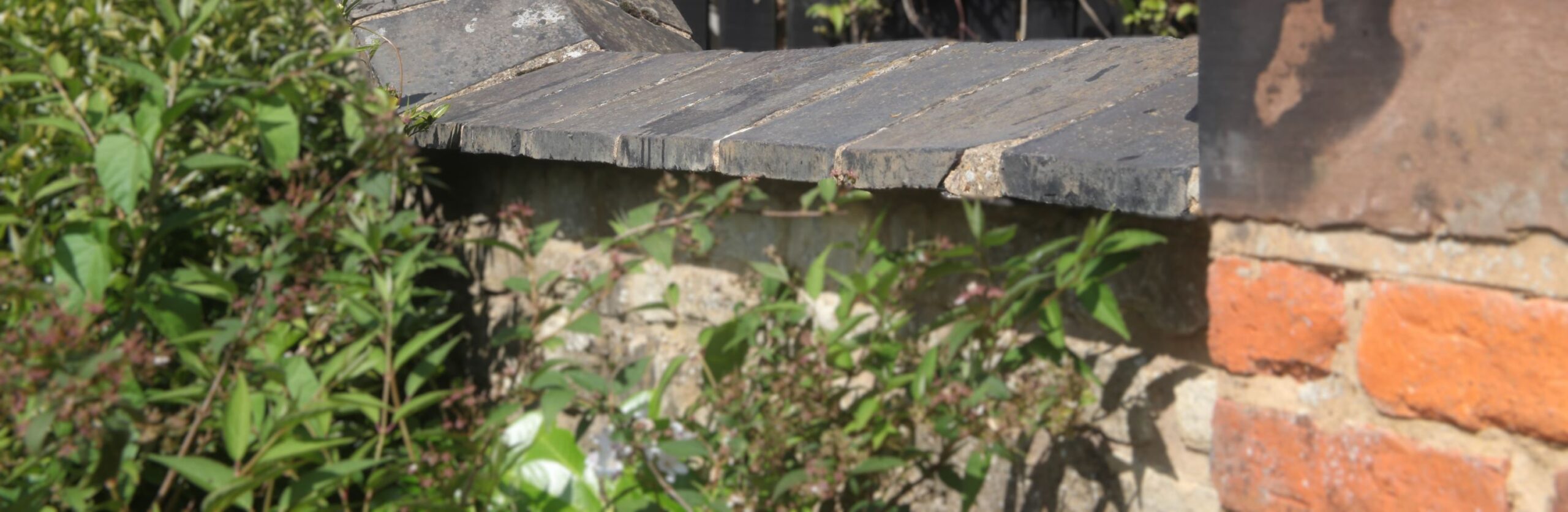 Staffordshire Blue Wall Coping Category Image