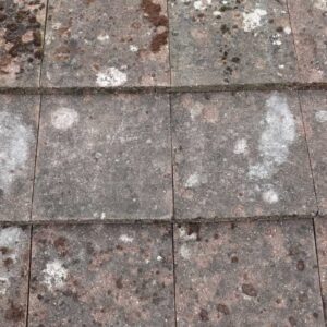 Stonewold Concrete Roof Tiles 6 ROOF-0220