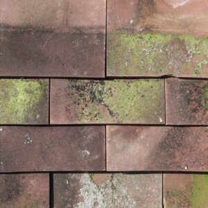 Rosemary Sandfaced Tile and a Half 1 ROOF-0243