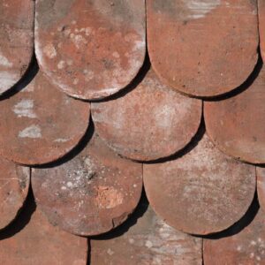 Reclaimed Beaver Tail Roof Tiles 1 ROOF-0193