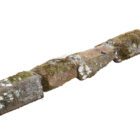 Double Cant Ironstone Copings 1 WAT-02983