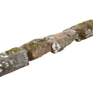 Double Cant Ironstone Copings 1 WAT-02983