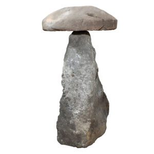 Reclaimed Large Staddle Stones 2 1 GFO-0263