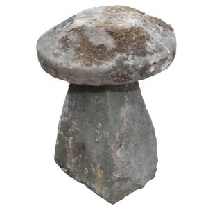 Reclaimed Medium Staddle Stones 1 1 GFO-0262
