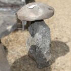 Reclaimed Large Staddle Stones 2 2 GFO-0263