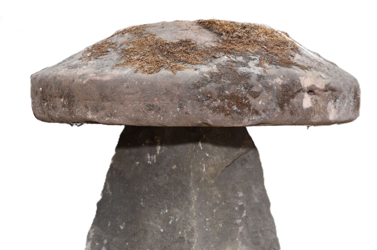 Reclaimed Medium Staddle Stones 1 2 GFO-0262
