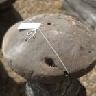 Reclaimed Large Staddle Stones 2 3 GFO-0263