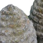 Pair of Pine Cone Finials Reconstituted Stone 2 GFO-0003