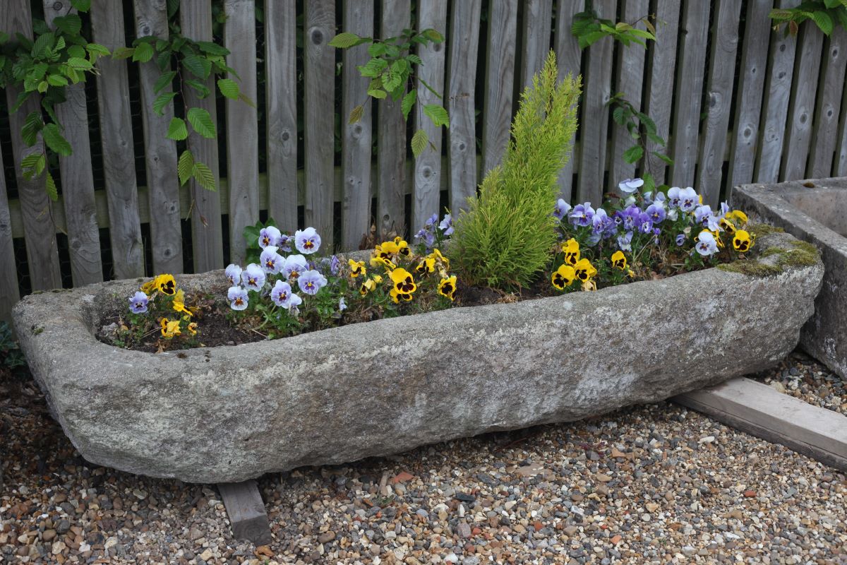 perfect planting spring