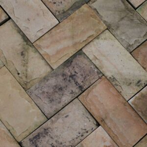 Fossil Mint Sandstone Pavers 1 NPAV-0158