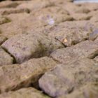 Northants Sandstone Walling Stone 4 BST-0036