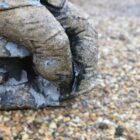 Composite Stone Garden Gnomes 6 GFO-0308