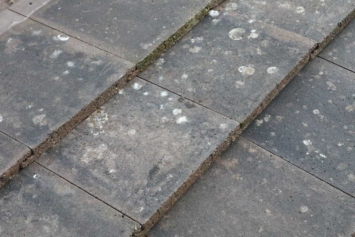 Reclaimed Sandtoft Calderdale Roof Tiles 2 ROOF-0319