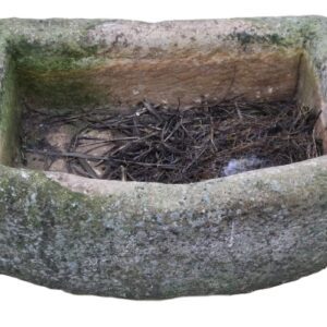 Small Handcarved Limestone Trough 1 GFO-0314