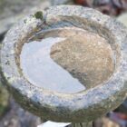Tree Trunk Bird Bath 2 GFO-0306