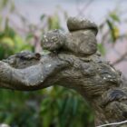 Tree and Squirrel Bird Bath 2 GFO-0303