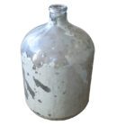 Vintage Glass Bottle or Terrarium 1 INT-2035