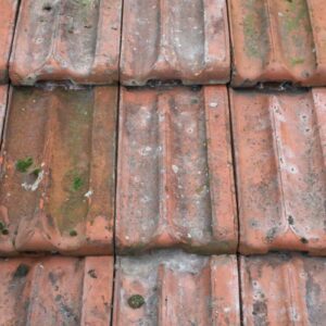 Tuileries Romain Boyer Roof Tiles 1 ROOF-0308