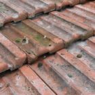 Tuileries Romain Boyer Roof Tiles 2 ROOF-0308