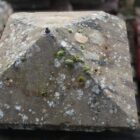 Victorian Yorkstone Pier Caps 2 WAT-02893