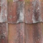 Red Norfolk Pan Tiles 1 ROOF-0131