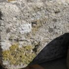 Small Reclaimed Yorkstone Trough 2 GFO-0183