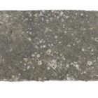 Weathered Indian Sandstone Paving 1 CLR-02127