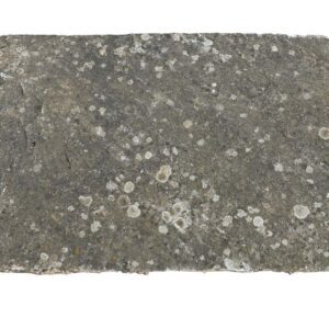 Weathered Indian Sandstone Paving 1 CLR-02127