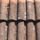 Red Marley Bold Roll Concrete Roof Tiles 1 ROOF-0335