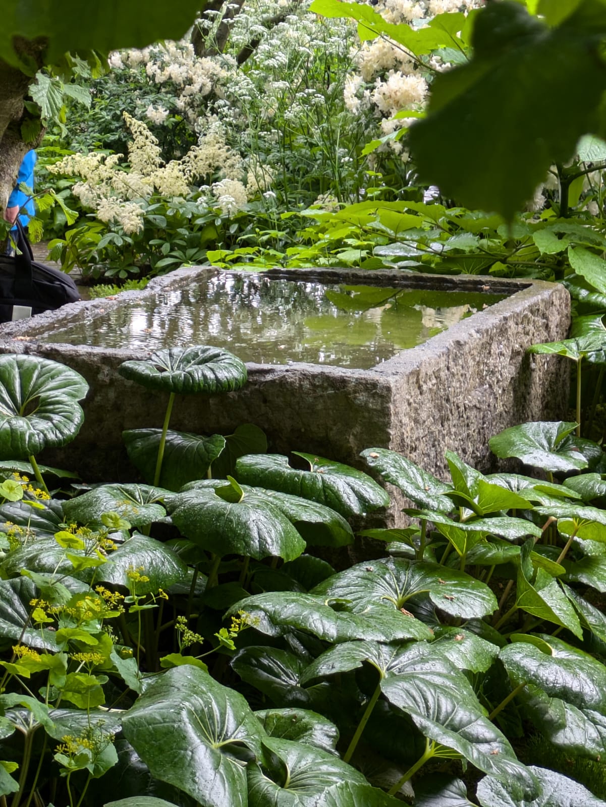 Reclamation and Garden Design Chelsea 2025