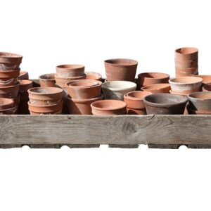 A collection of vintage terracotta flower pots showing a rustic patina