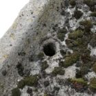 Detail of a small reclaimed stone sink with drain hole and patina of weathered edges, moss and worn rim