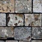 A batch of reclaimed weathered blue/buff limestone setts showing surface weathering of discolouration, patches of moss and lichen and the individuality of each sett.