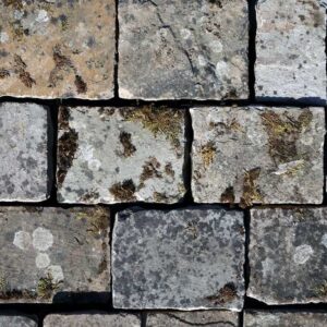 A batch of reclaimed weathered blue/buff limestone setts showing surface weathering of discolouration, patches of moss and lichen and the individuality of each sett.
