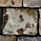 Detail of blue/buff limestone setts with weathered finish